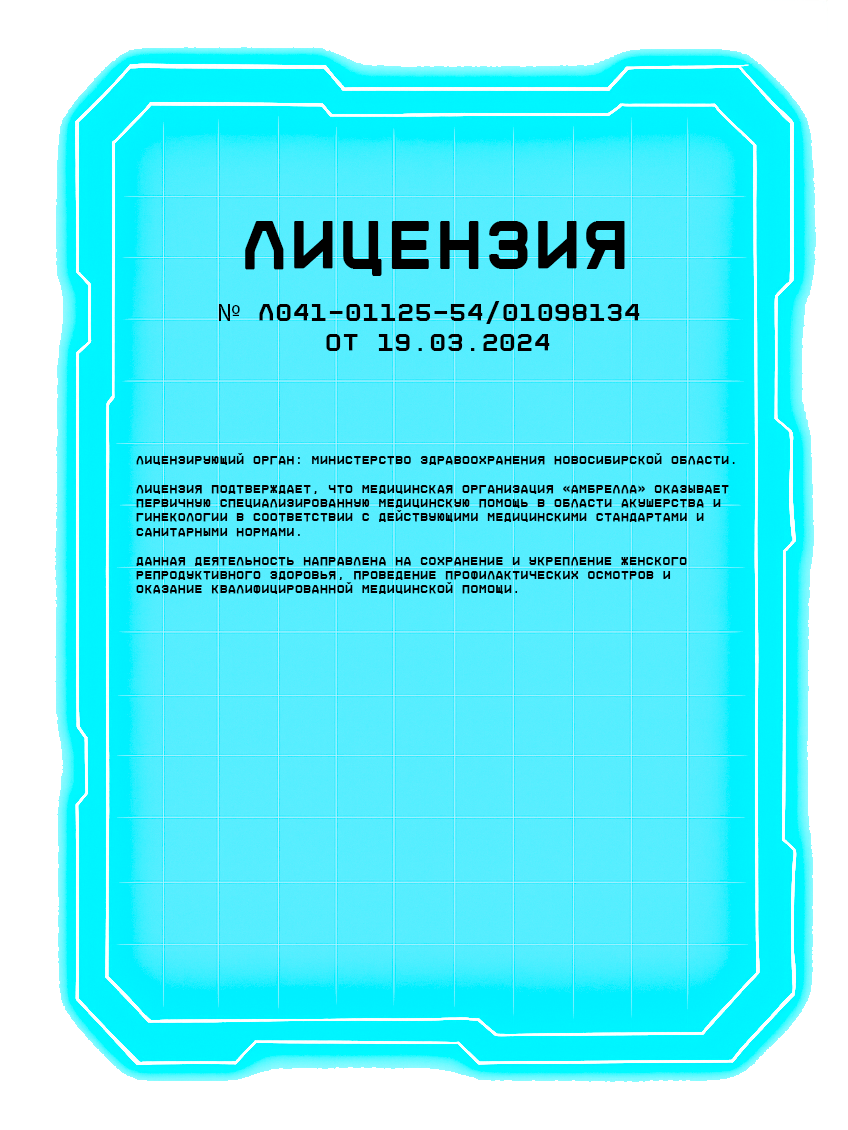 ЛИЦЕНЗИЯ № Л041-01125-54/01098134 ОТ 19.03.2024