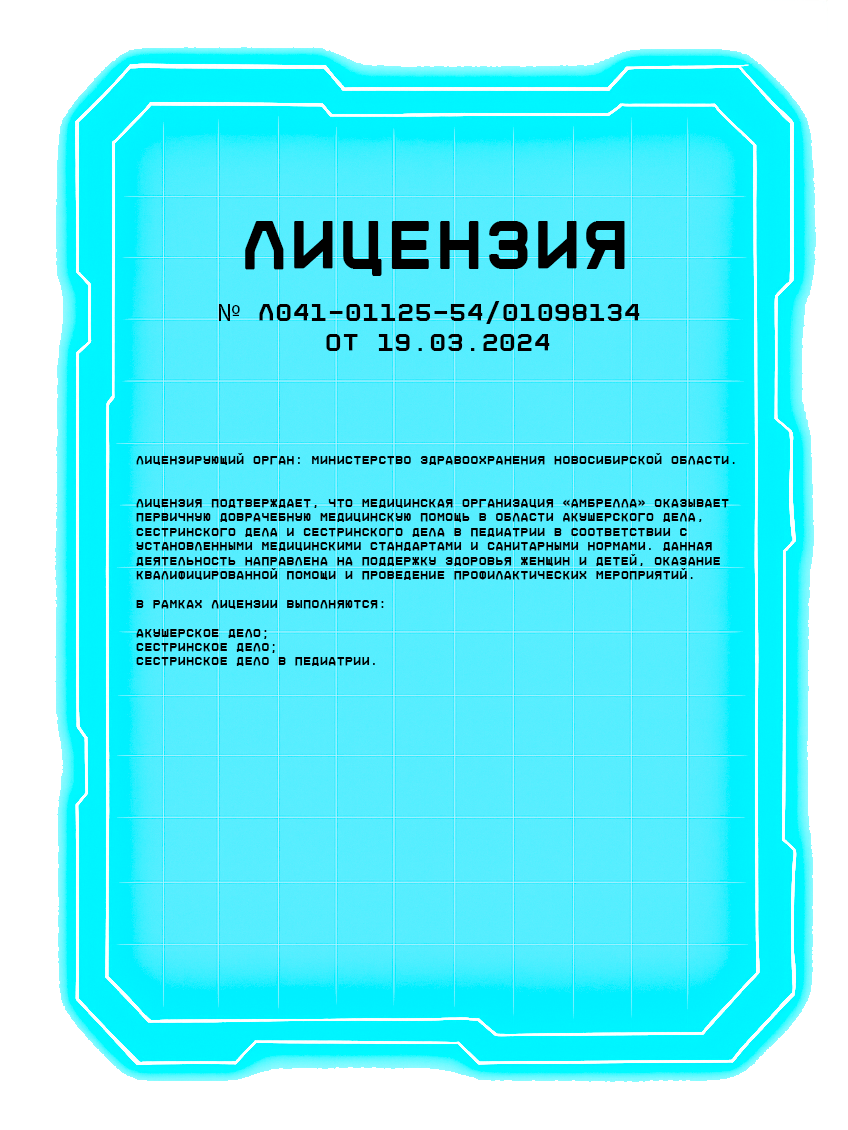 ЛИЦЕНЗИЯ № Л041-01125-54/01098134 ОТ 19.03.2024